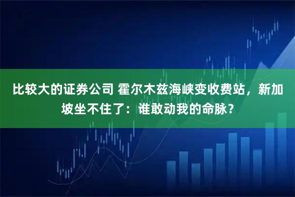 比较大的证券公司 霍尔木兹海峡变收费站，新加坡坐不住了：谁敢动我的命脉？